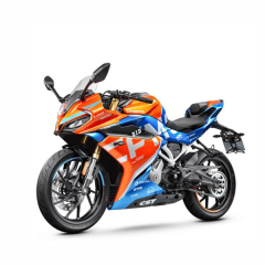 Zincir Koruma 250SR CFMOTO 2023-2024 Uyumlu
